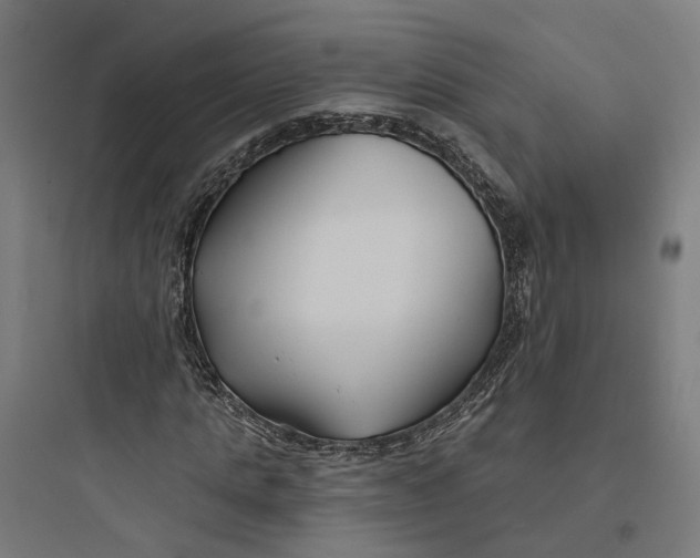 X0000093760821200711061109