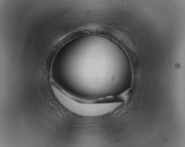 X0000093760822200711061109