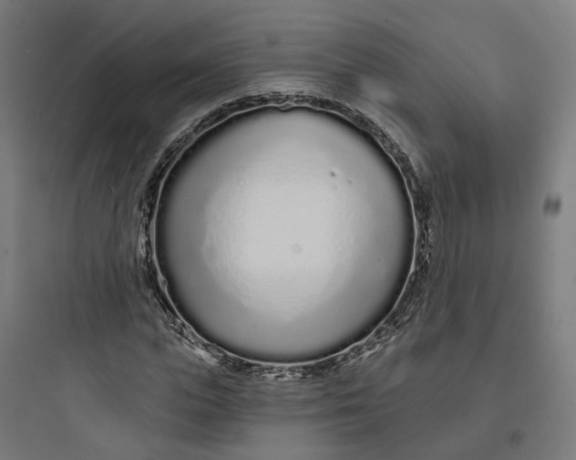 X0000093760823200711061109