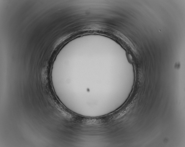 X0000093760826200711061109