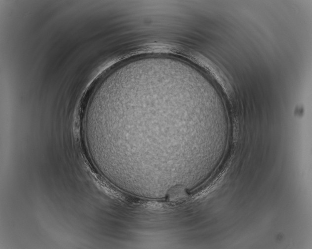 X0000093760827200711061109