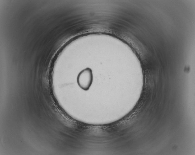 X0000093760828200711061109