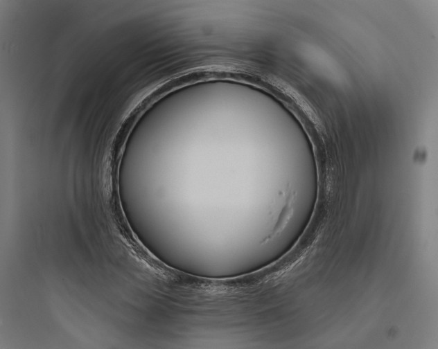 X0000093760829200711061109