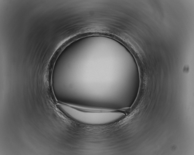 X0000093760830200711061109