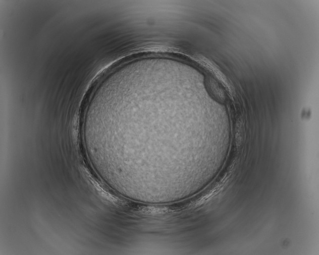 X0000093760831200711061109