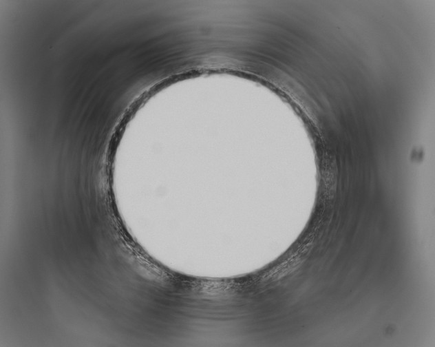 X0000093760832200711061109