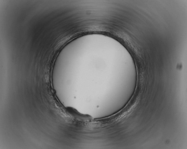 X0000093760833200711061109