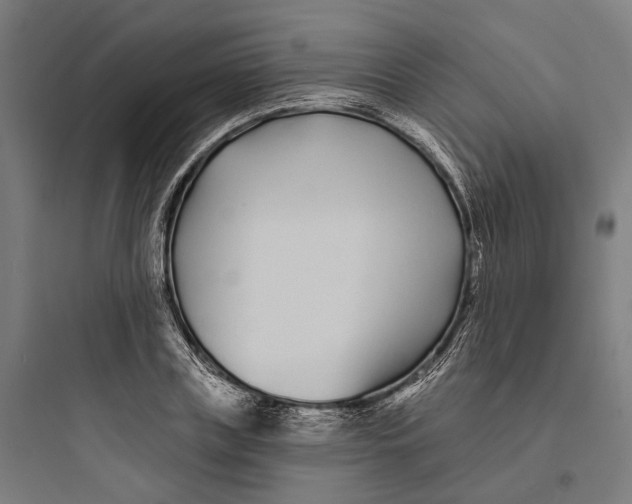 X0000093760835200711061109