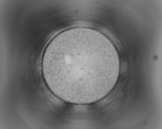 X0000093760836200711061109