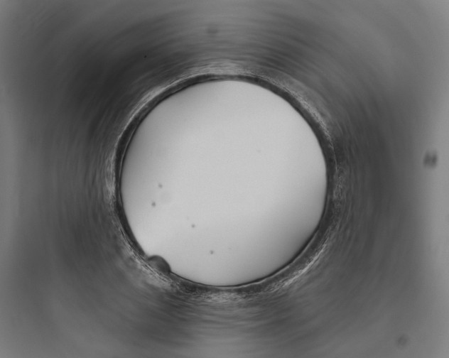 X0000093760837200711061109