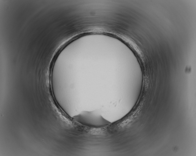 X0000093760839200711061109