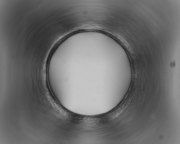 X0000093760840200711061109