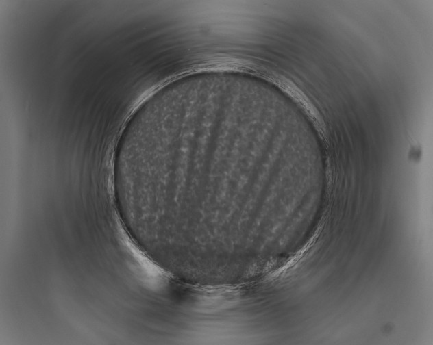 X0000093760842200711061109