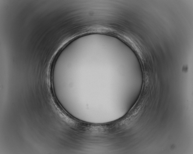 X0000093760843200711061109