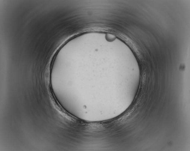 X0000093760844200711061109