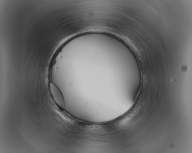 X0000093760846200711061109