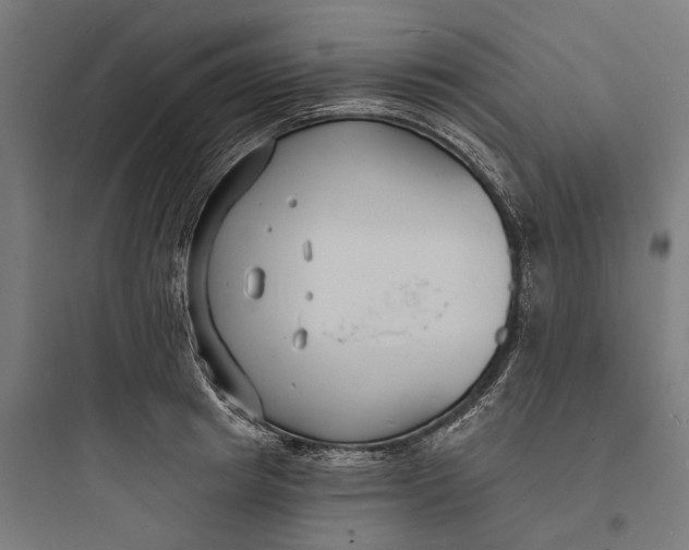 X0000093760849200711061109