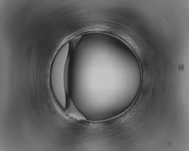 X0000093760850200711061109