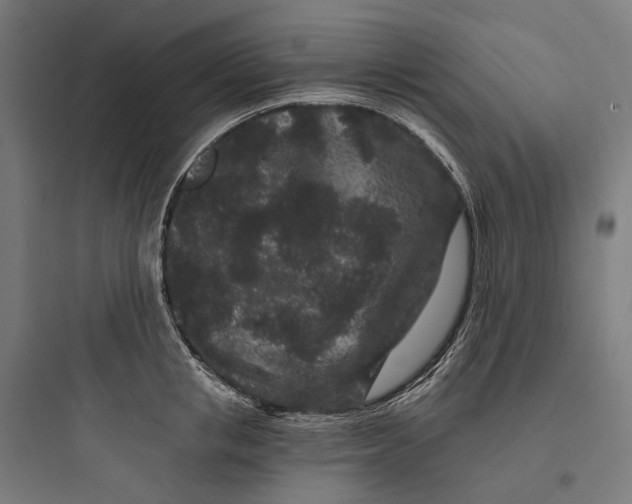 X0000093760853200711061109