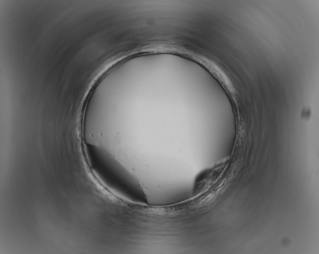 X0000093760855200711061109