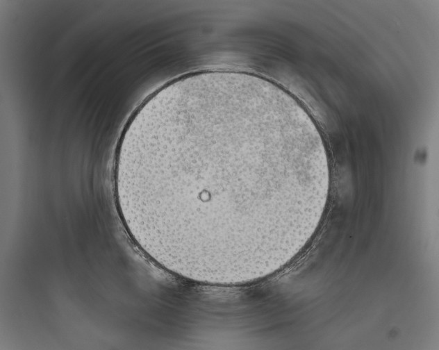 X0000093760856200711061109