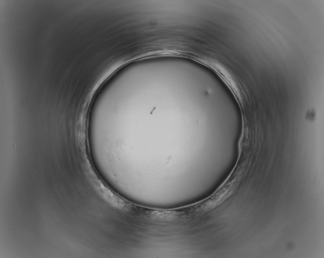 X0000093760859200711061109