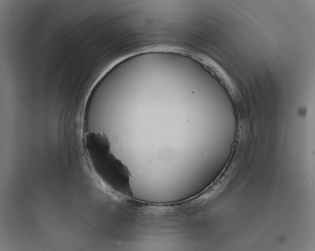 X0000093760860200711061109