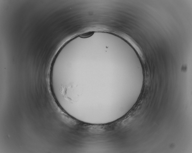 X0000093760861200711061109