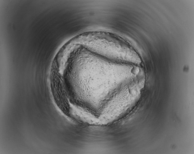 X0000093760863200711061109