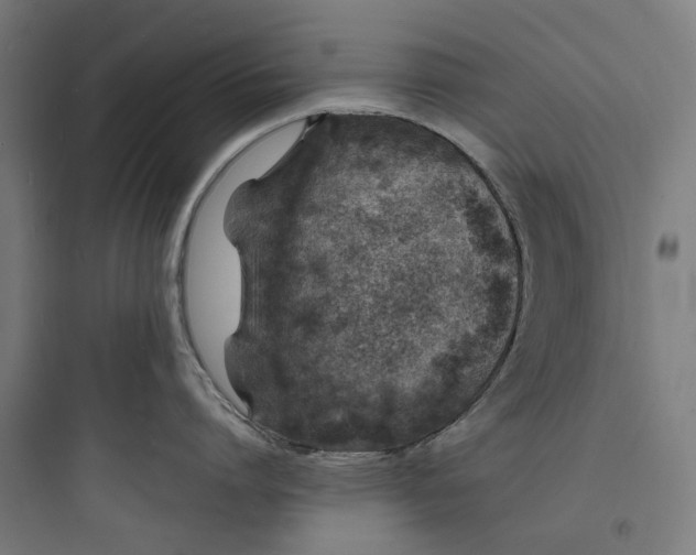 X0000093760864200711061109