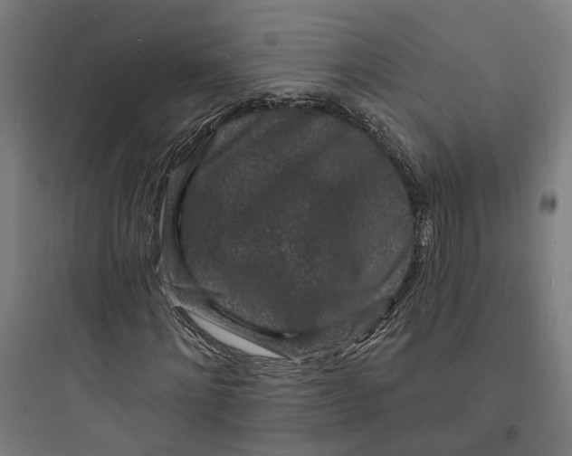 X0000093760868200711061109