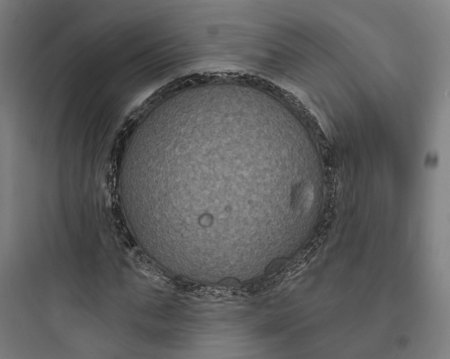 X0000093760871200711061109