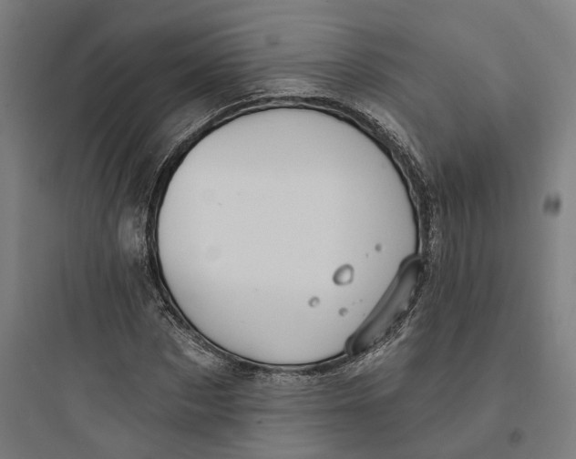 X0000093760873200711061109