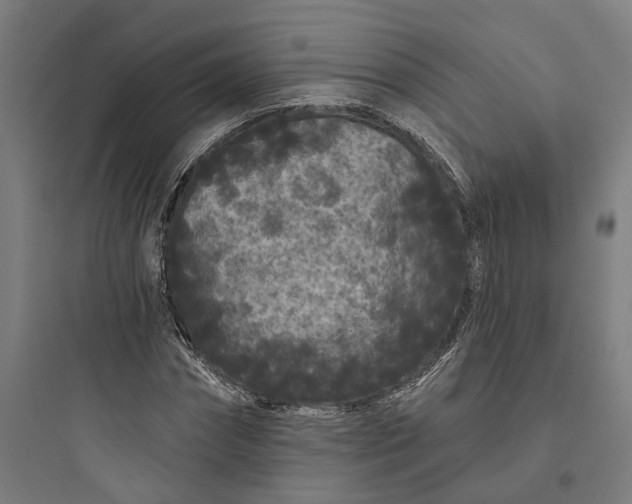 X0000093760874200711061109