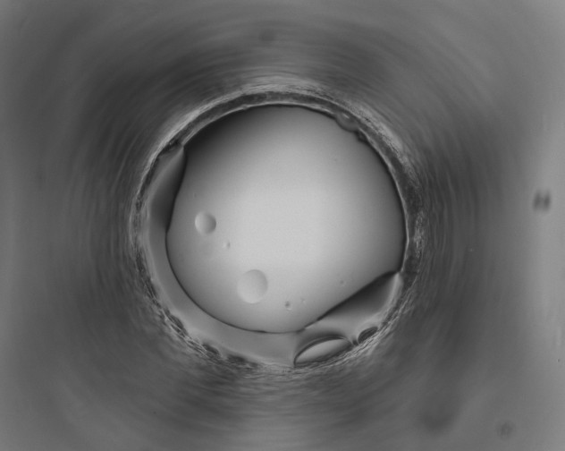 X0000093760877200711061108