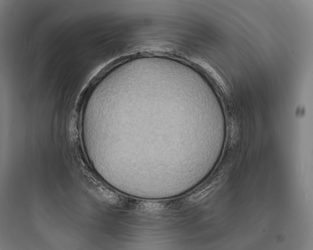 X0000093760878200711061108