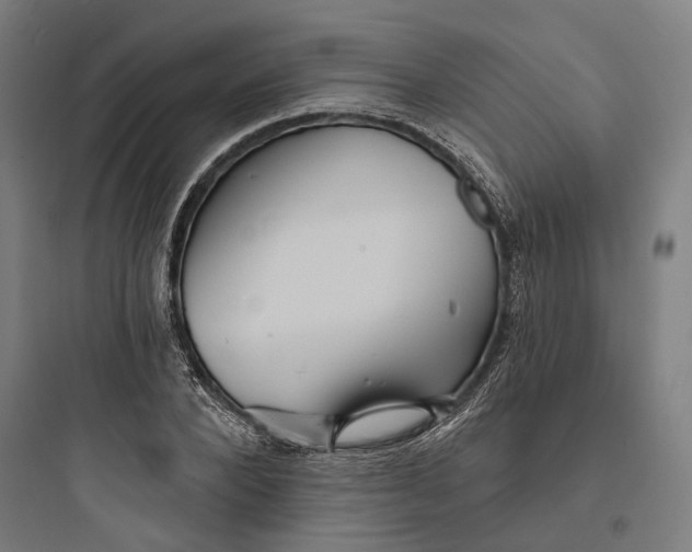 X0000093760880200711061108