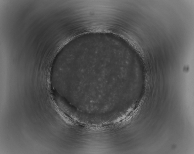 X0000093760881200711061108