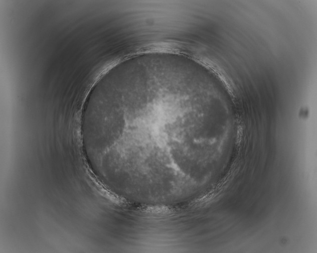 X0000093760882200711061108