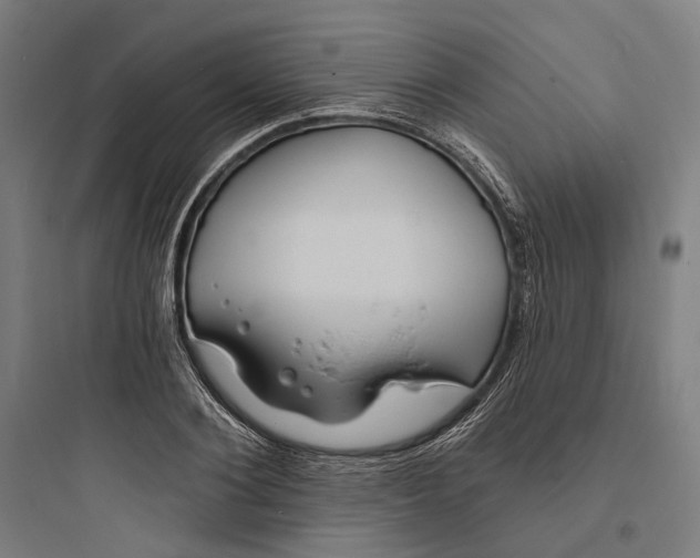 X0000093760884200711061108