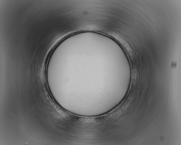 X0000093760886200711061108