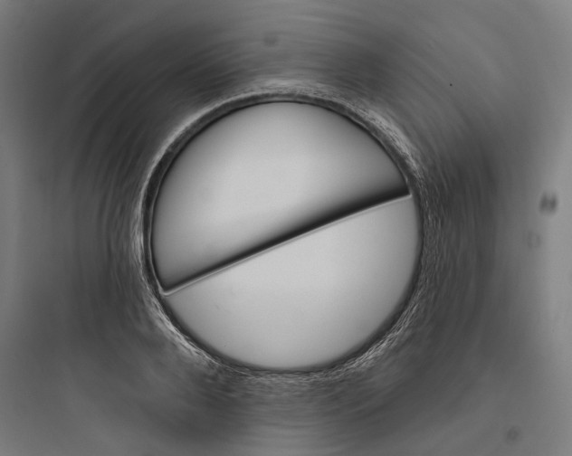 X0000093760888200711061108