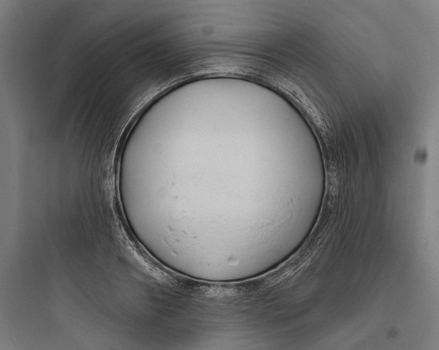 X0000093760890200711061108