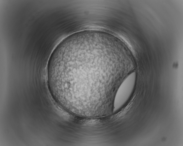 X0000093760891200711061108