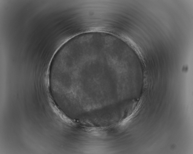 X0000093760892200711061108