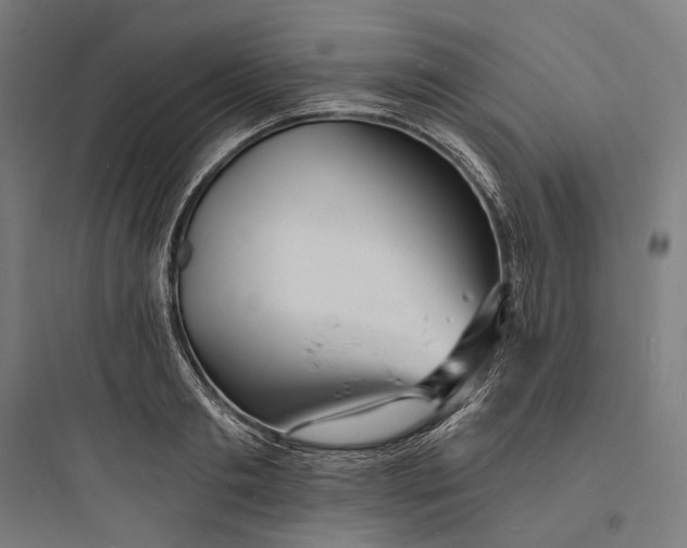 X0000093760893200711061108