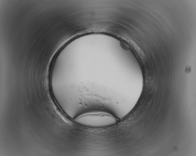 X0000093760894200711061108