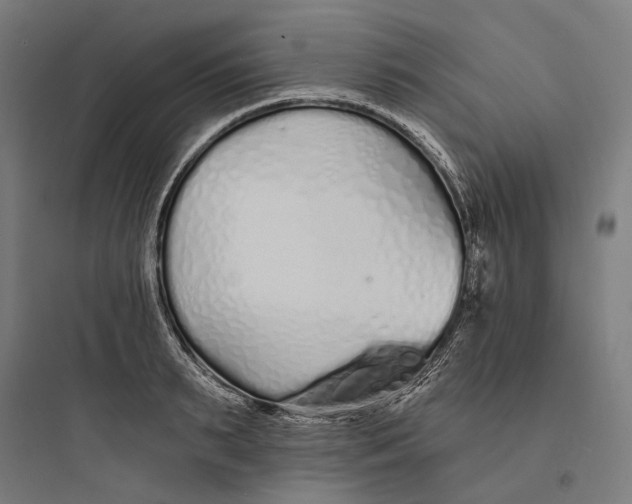 X0000093760895200711061108