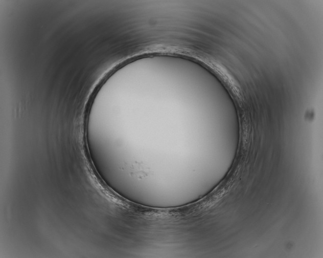 X0000093760896200711061108