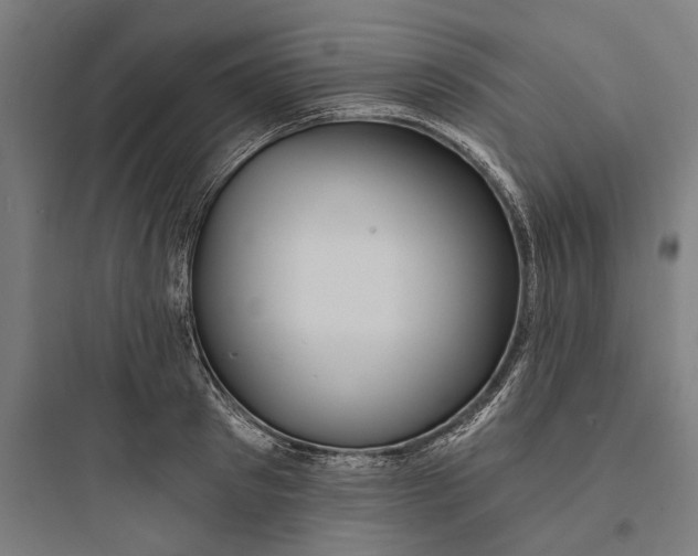 X0000093760897200711061108